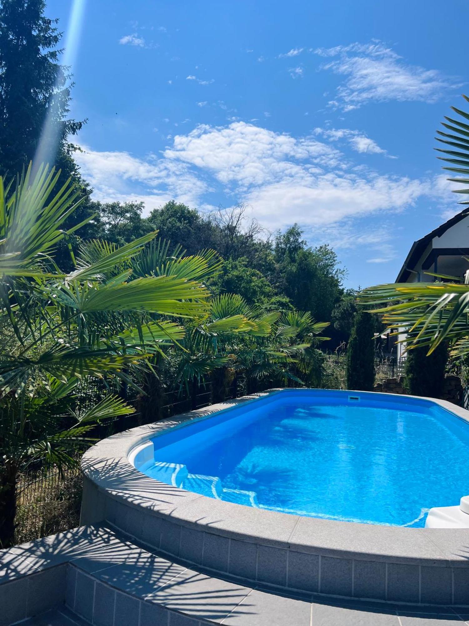 Privates Ferienhaus Mit Pool & Whirlpool Zentral In Бад-Дюркхайм Экстерьер фото