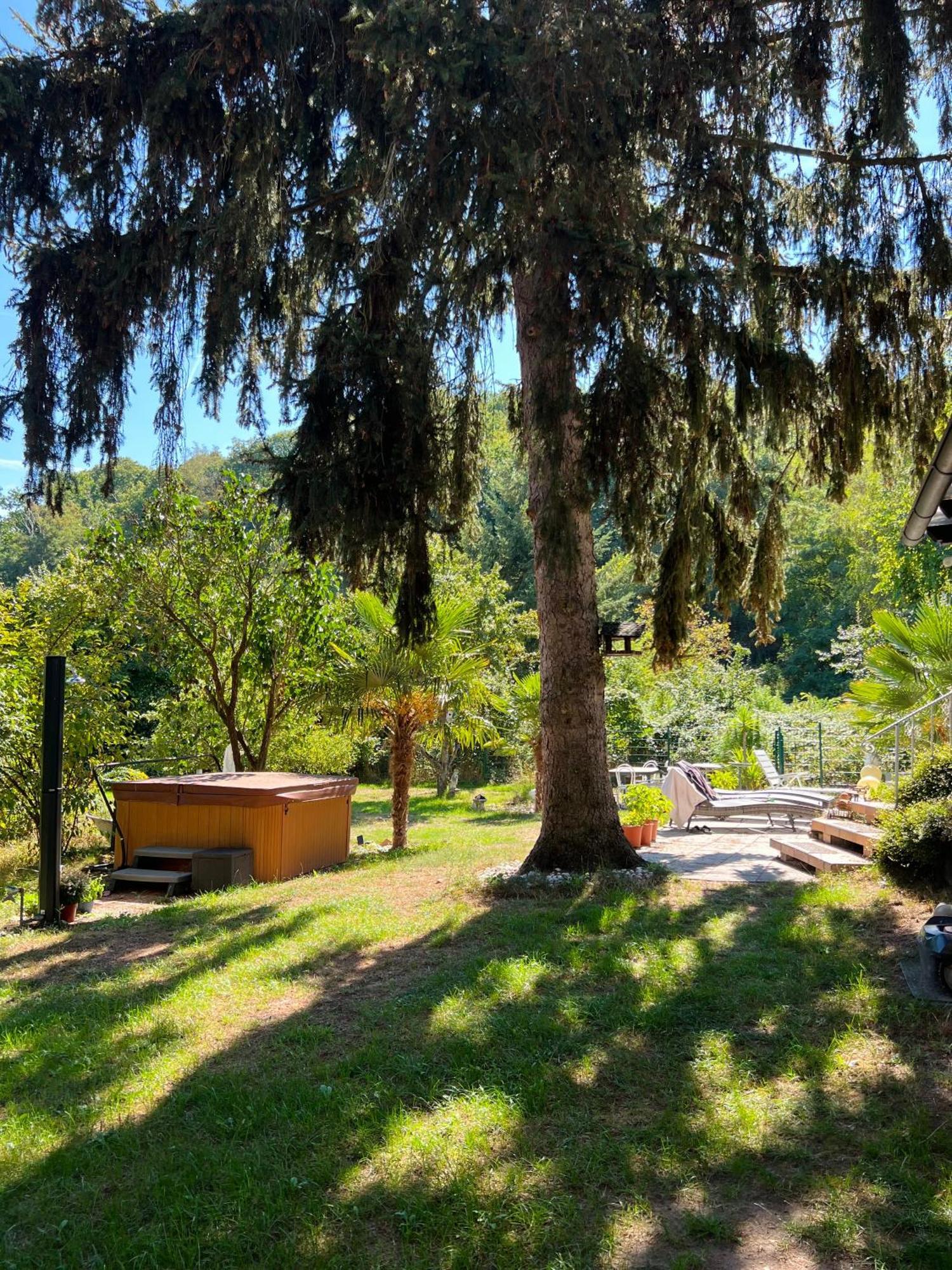Privates Ferienhaus Mit Pool & Whirlpool Zentral In Бад-Дюркхайм Экстерьер фото